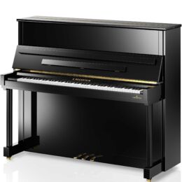 C. BECHSTEIN Classic 124
