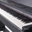 Digitalpiano Feurich Olya EVO Schwarz