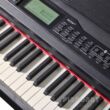 Digitalpiano Feurich Olya EVO Schwarz Display