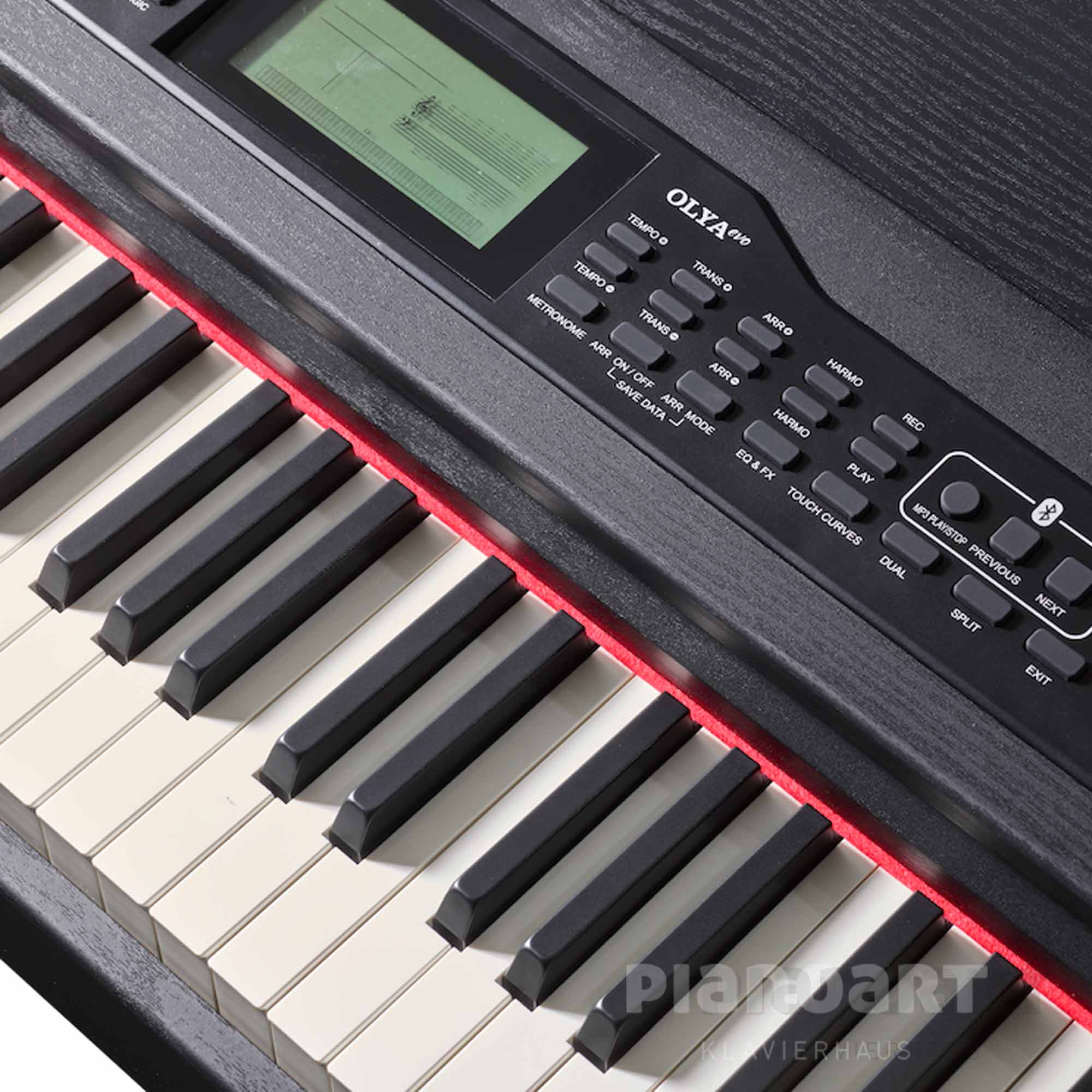 Digitalpiano Feurich Olya EVO Schwarz Display