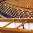 Stimmwirbel Bechstein Classic